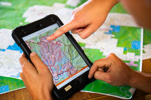 Jay Brittain photography. Forest photography. Photographs of forest management. Forest Management. Photographs of the forest industry. photographs of foresters at work.