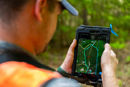 Jay Brittain photography. Forest photography. Photographs of forest management. Forest Management. Photographs of the forest industry. photographs of foresters at work.