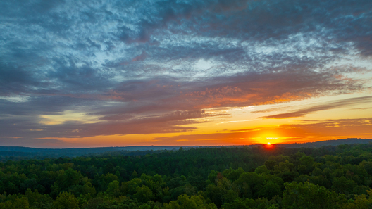 Jay Brittain photography. Forest photography. Photographs of forest management. Forest Management. Photographs of the forest industry. photographs of foresters at work.