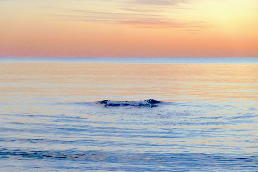 Seacrest, Florida