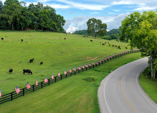 Leipers Fork, Tennessee