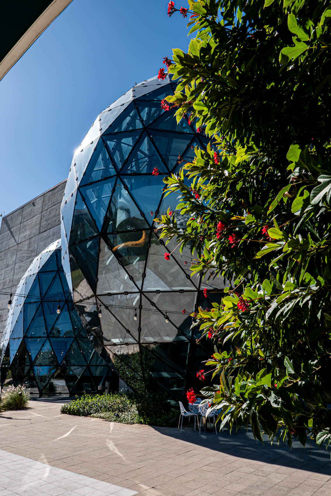 The Dal Museum
St. Petersburg, FL
November 5, 2025


DerekBrad.com