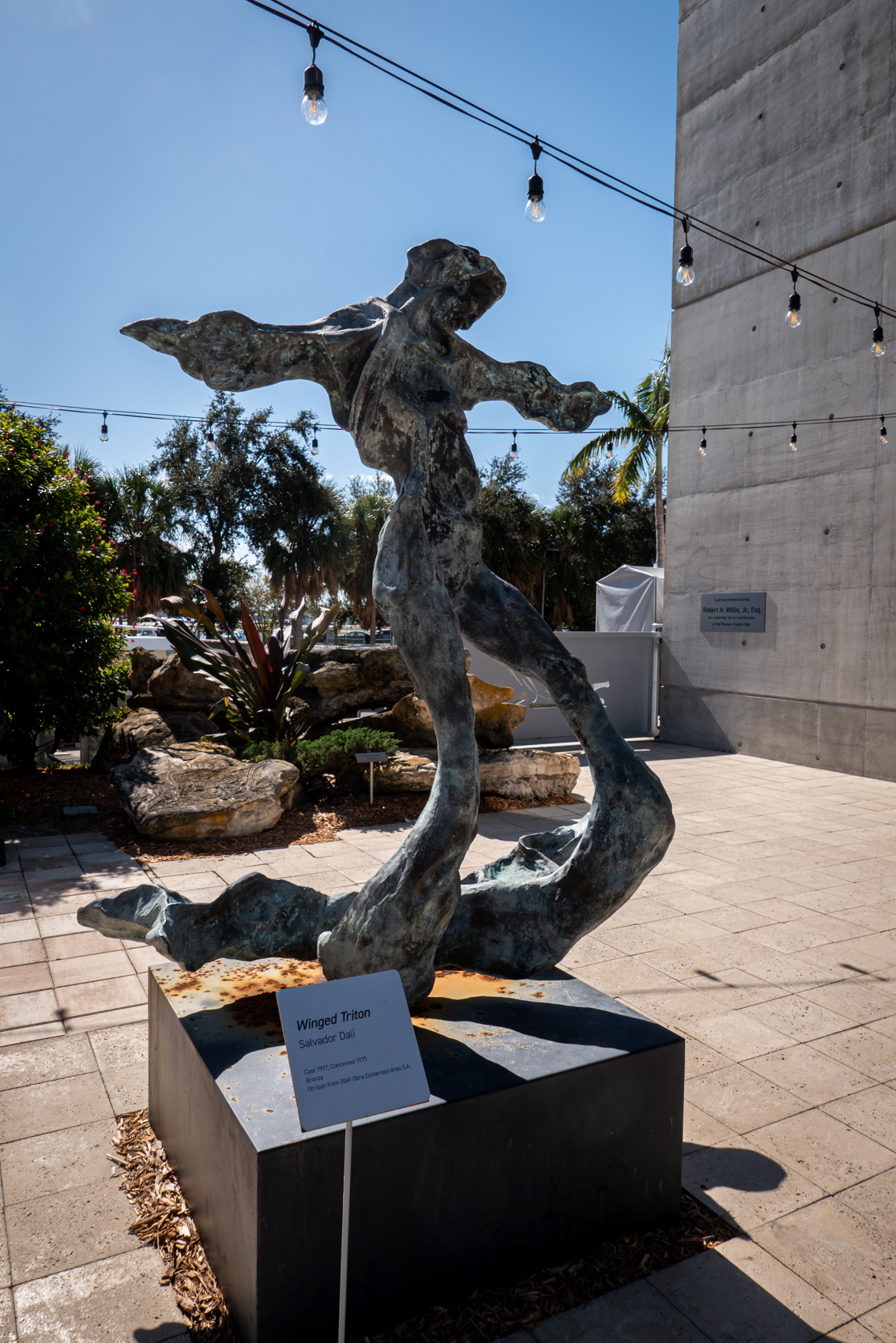 The Dal Museum
St. Petersburg, FL
November 5, 2025


DerekBrad.com