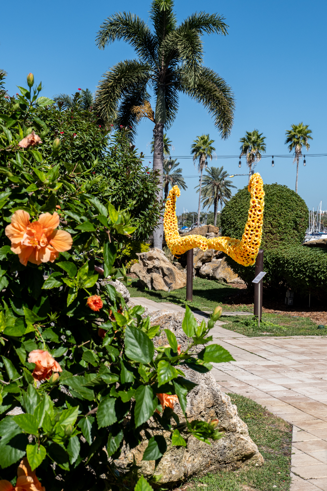 The Dal Museum
St. Petersburg, FL
November 5, 2025


DerekBrad.com