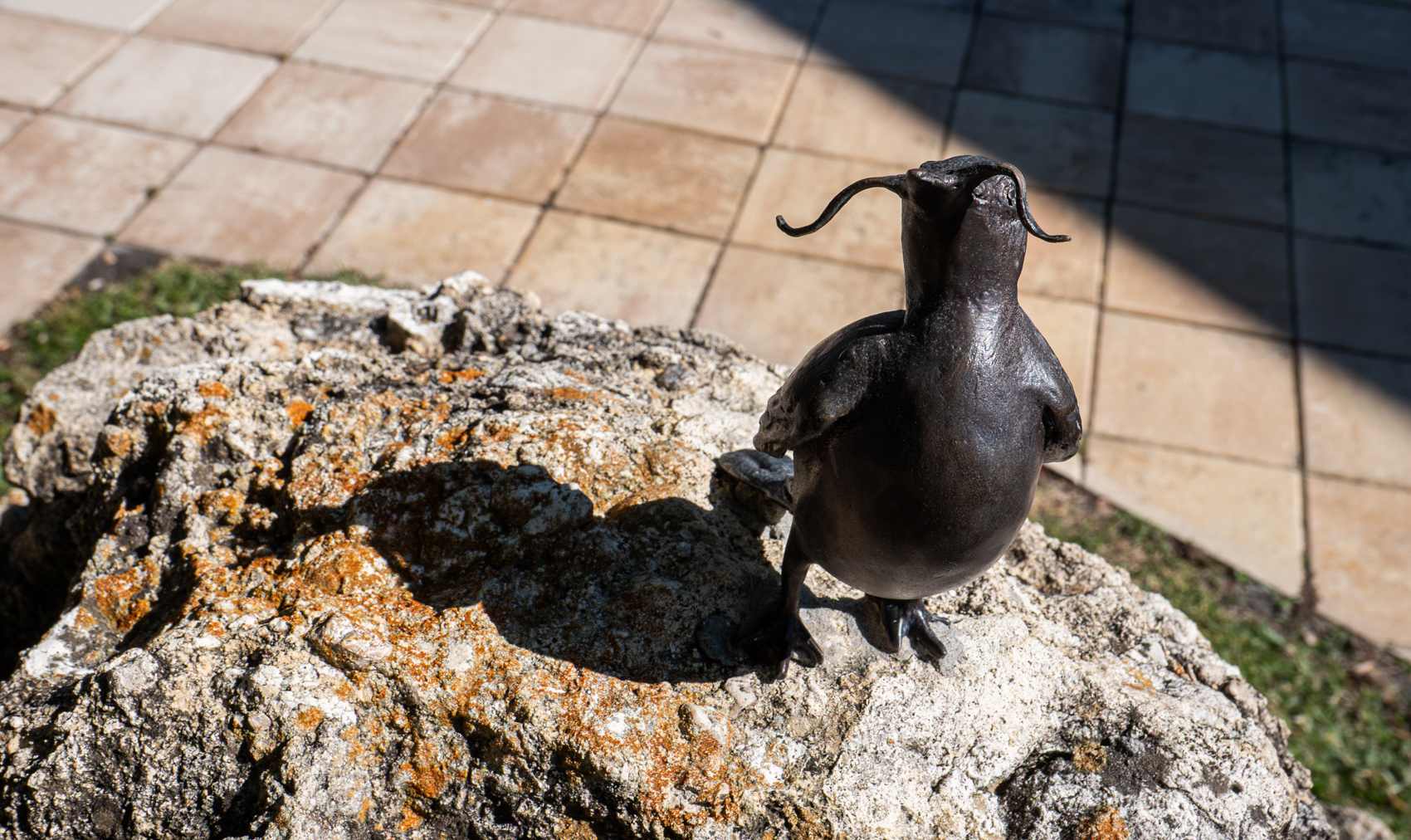 The Dal Museum
St. Petersburg, FL
November 5, 2025


DerekBrad.com