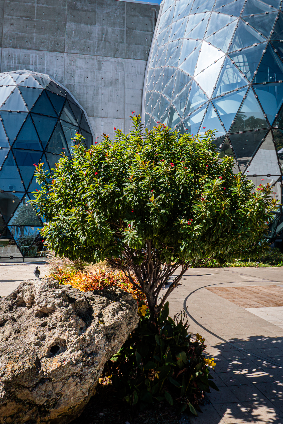 The Dal Museum
St. Petersburg, FL
November 5, 2025


DerekBrad.com