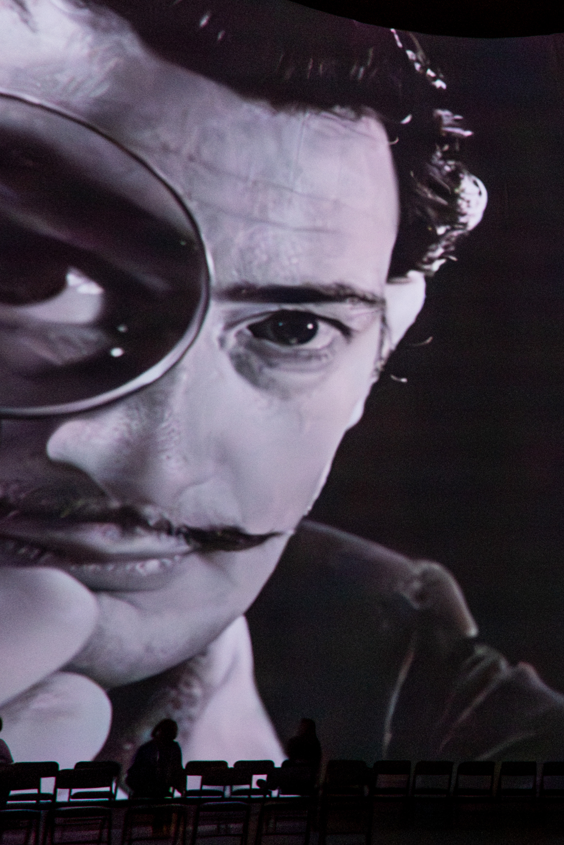 The Dal Museum
St. Petersburg, FL
November 5, 2025


DerekBrad.com