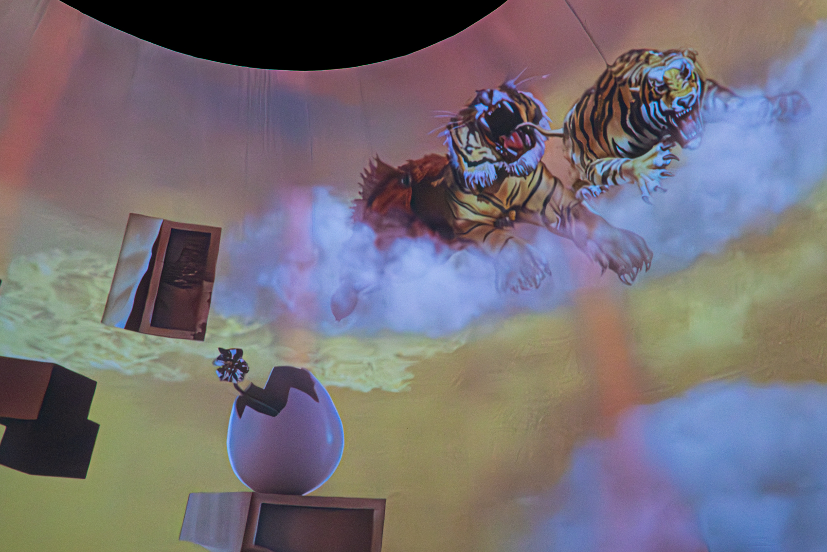 The Dal Museum
St. Petersburg, FL
November 5, 2025


DerekBrad.com