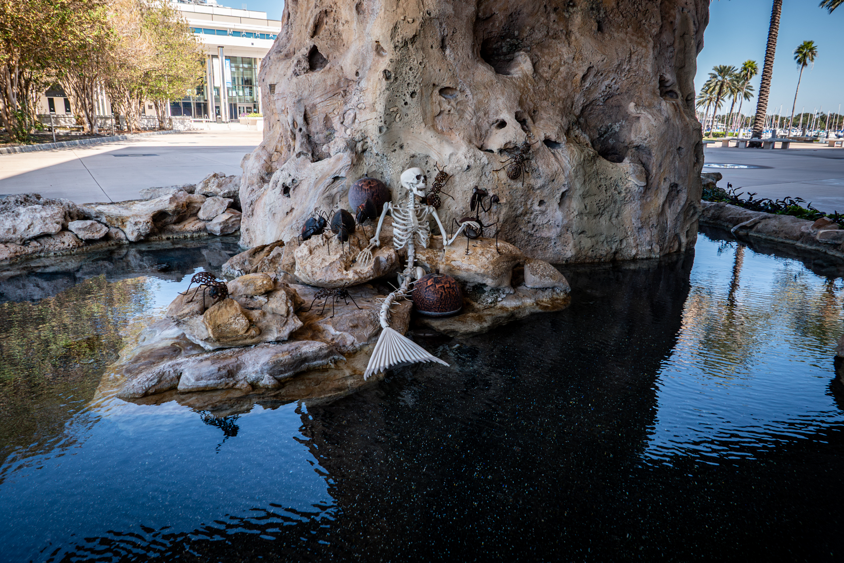 The Dal Museum
St. Petersburg, FL
November 5, 2025


DerekBrad.com