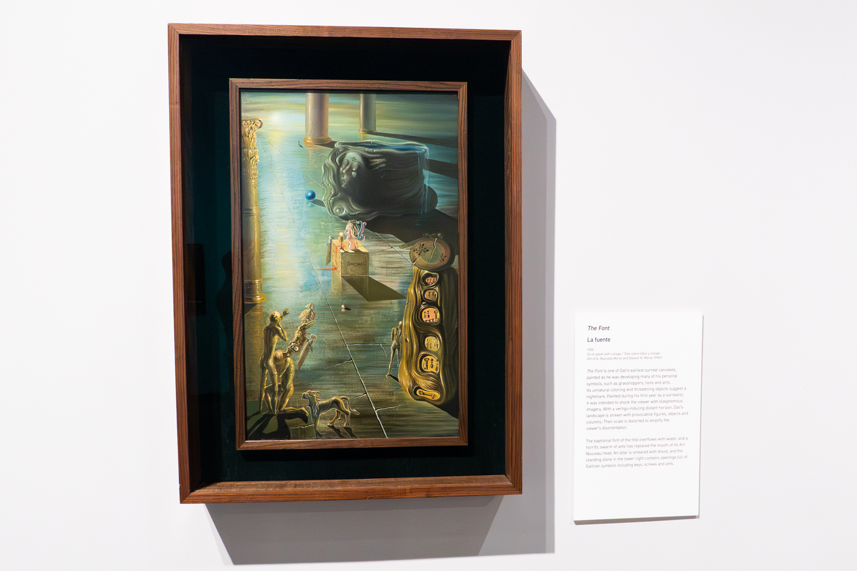 The Dal Museum
St. Petersburg, FL
November 5, 2025


DerekBrad.com