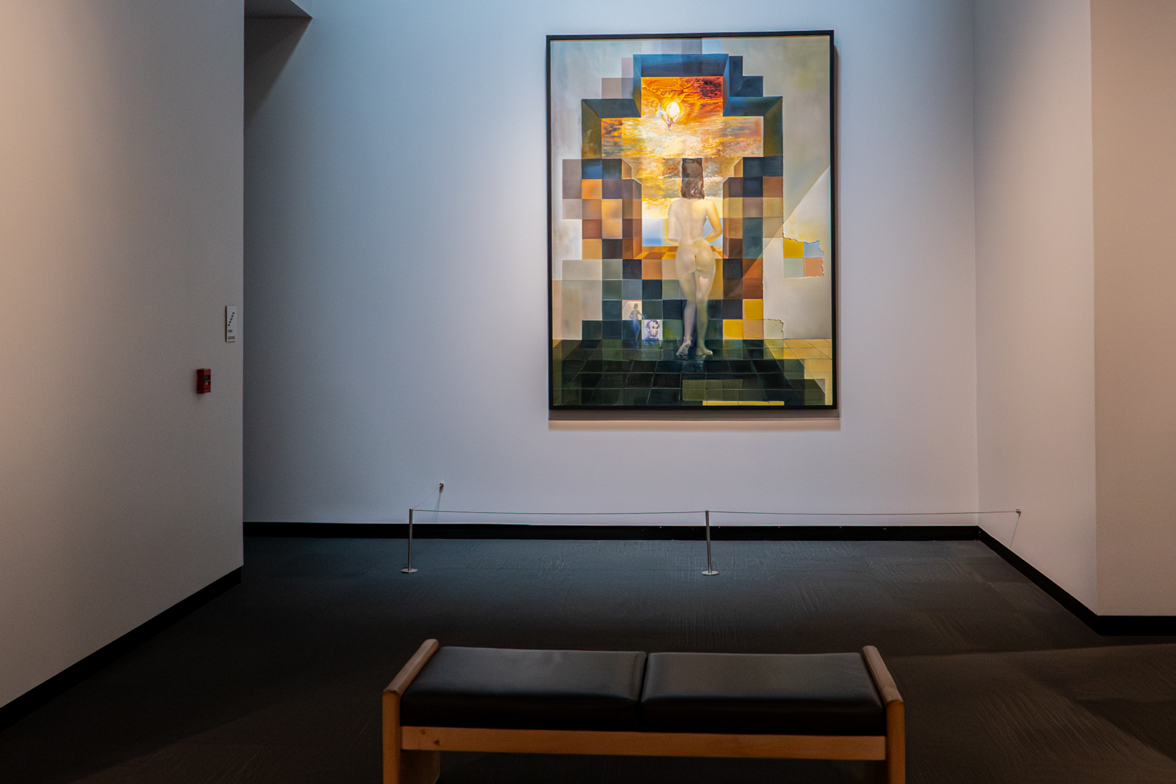 The Dal Museum
St. Petersburg, FL
November 5, 2025


DerekBrad.com