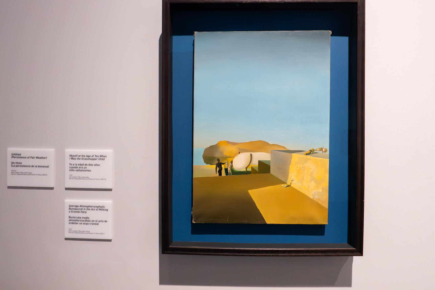 The Dal Museum
St. Petersburg, FL
November 5, 2025


DerekBrad.com