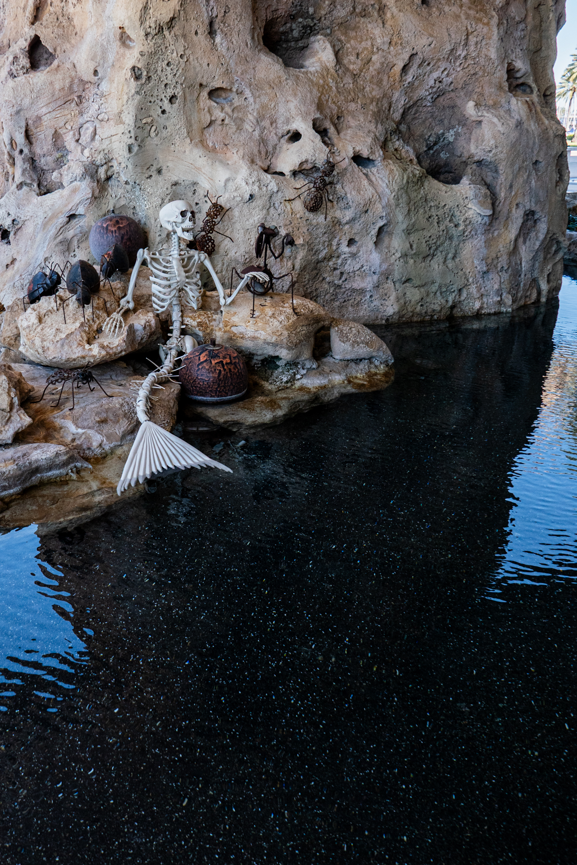 The Dal Museum
St. Petersburg, FL
November 5, 2025


DerekBrad.com