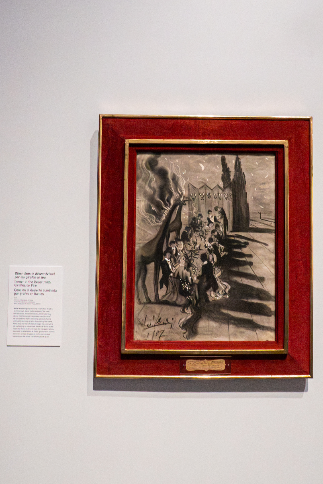 The Dal Museum
St. Petersburg, FL
November 5, 2025


DerekBrad.com