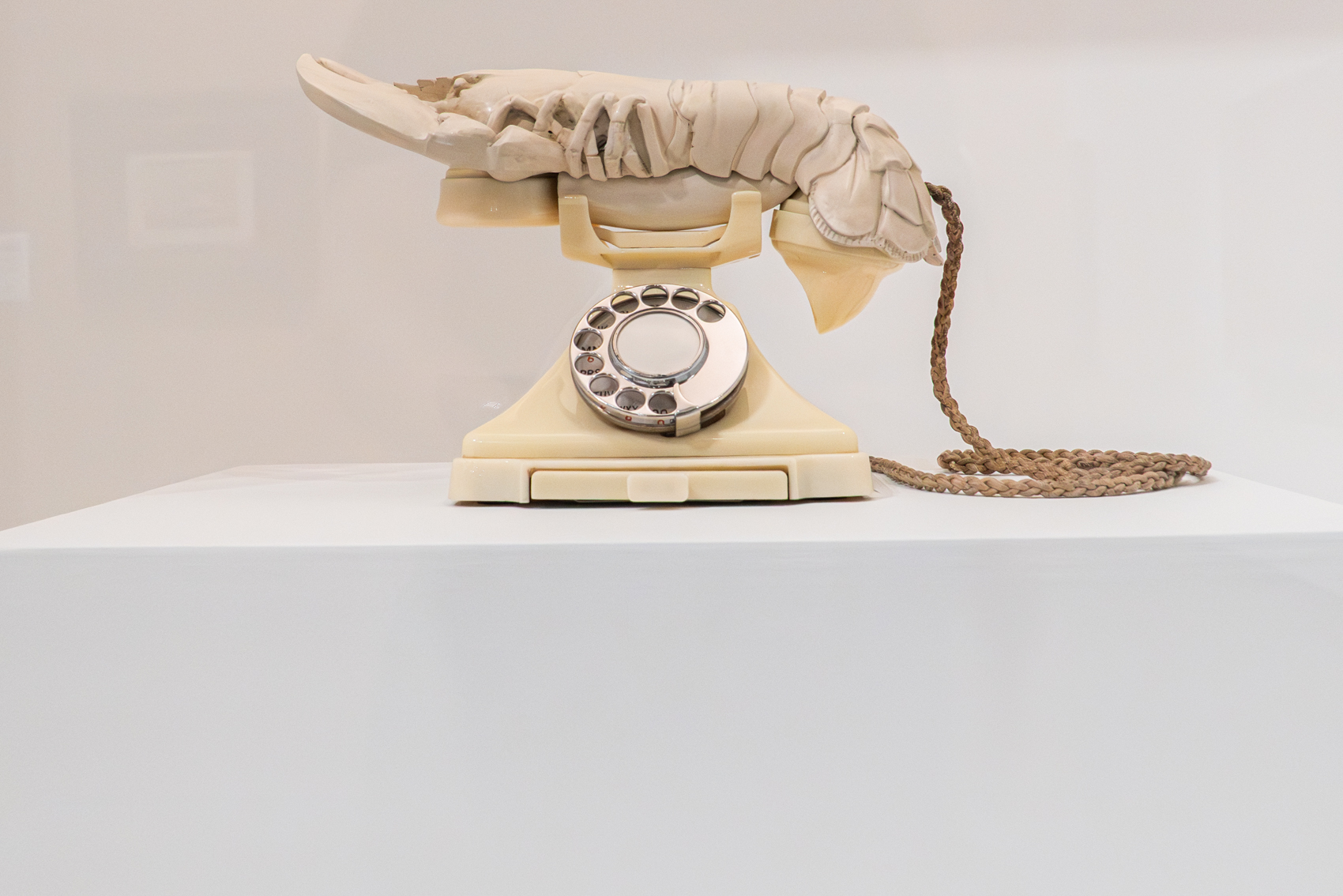 The Dal Museum
St. Petersburg, FL
November 5, 2025


DerekBrad.com