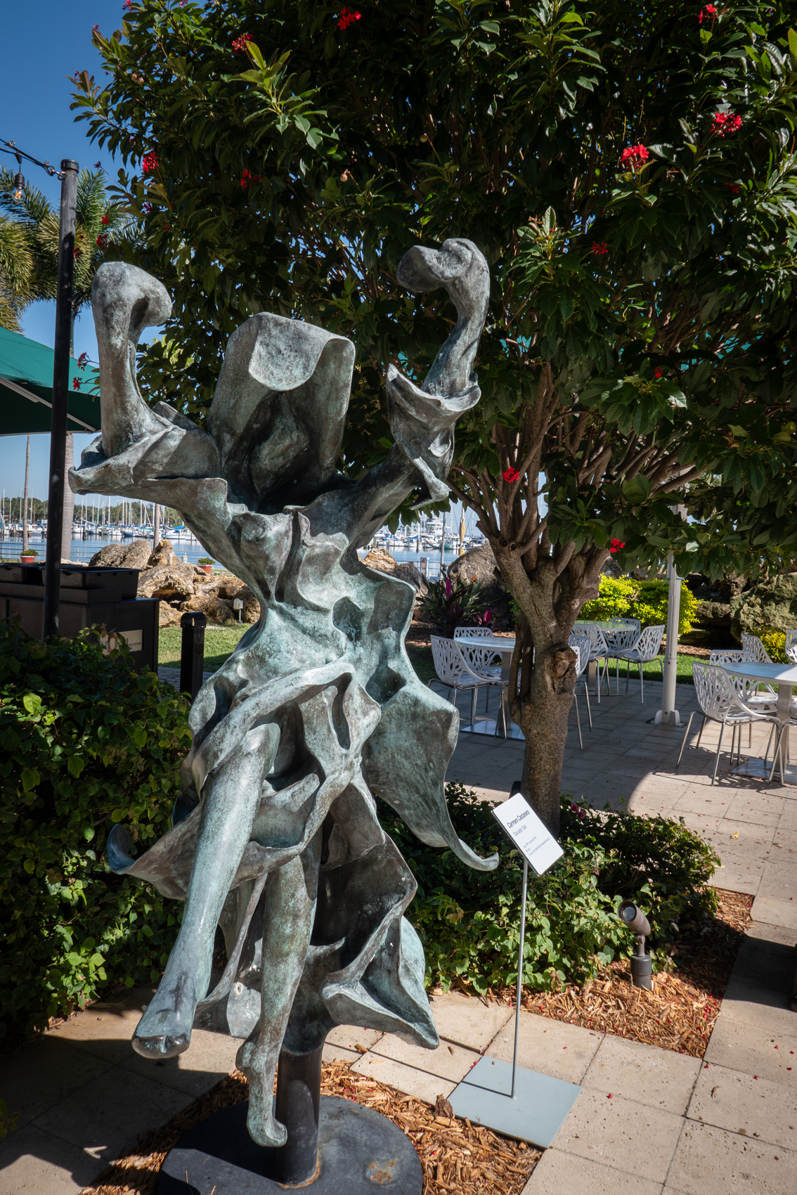 The Dal Museum
St. Petersburg, FL
November 5, 2025


DerekBrad.com