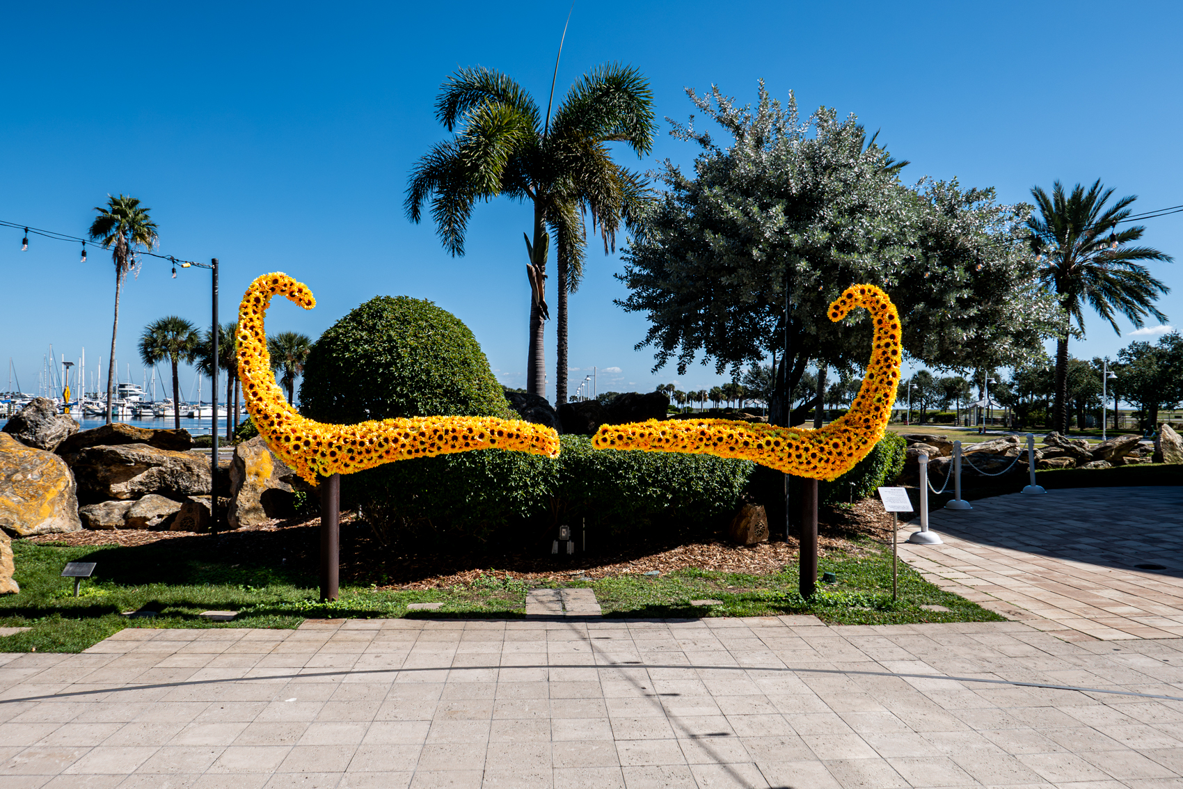 The Dal Museum
St. Petersburg, FL
November 5, 2025


DerekBrad.com