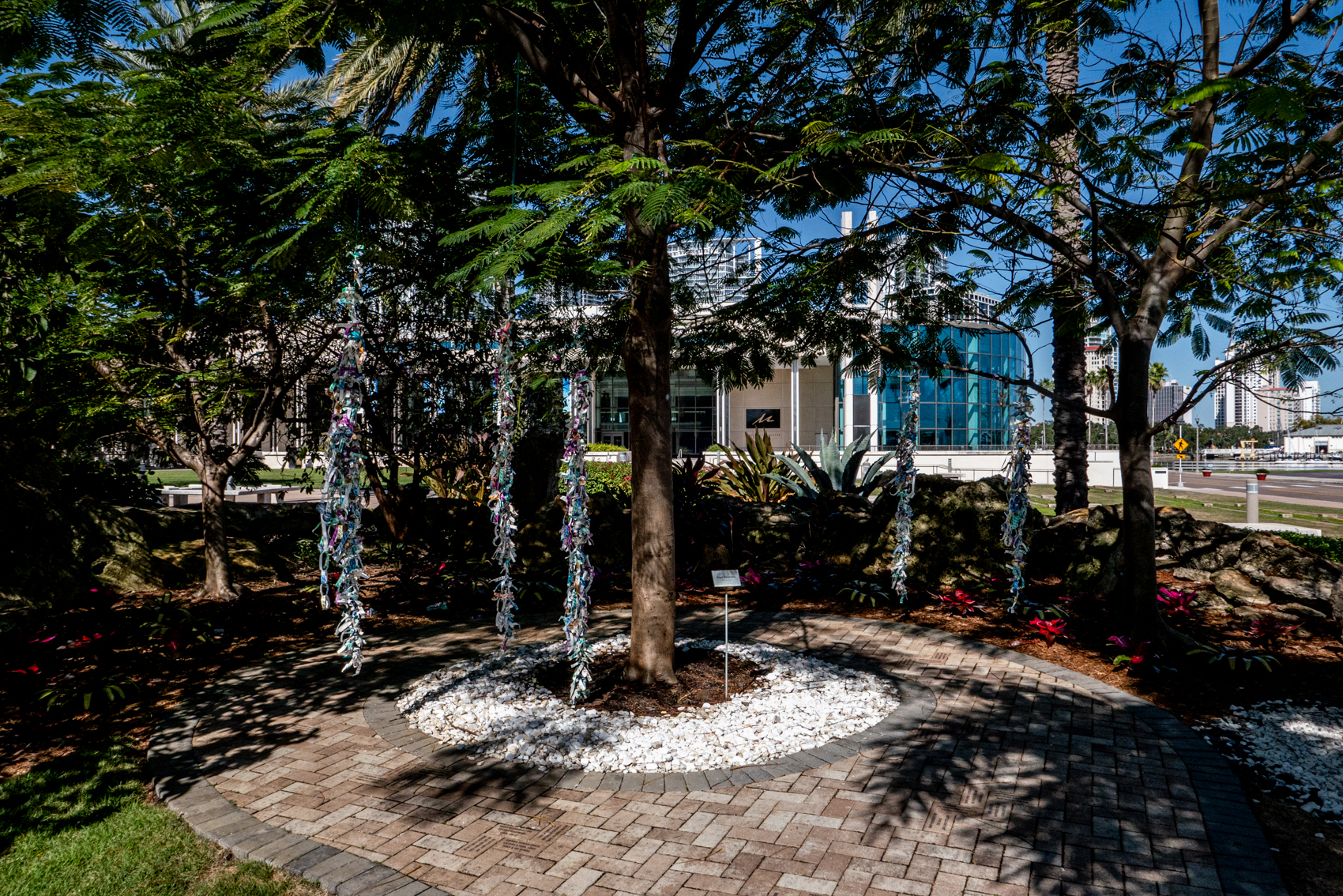 The Dal Museum
St. Petersburg, FL
November 5, 2025


DerekBrad.com