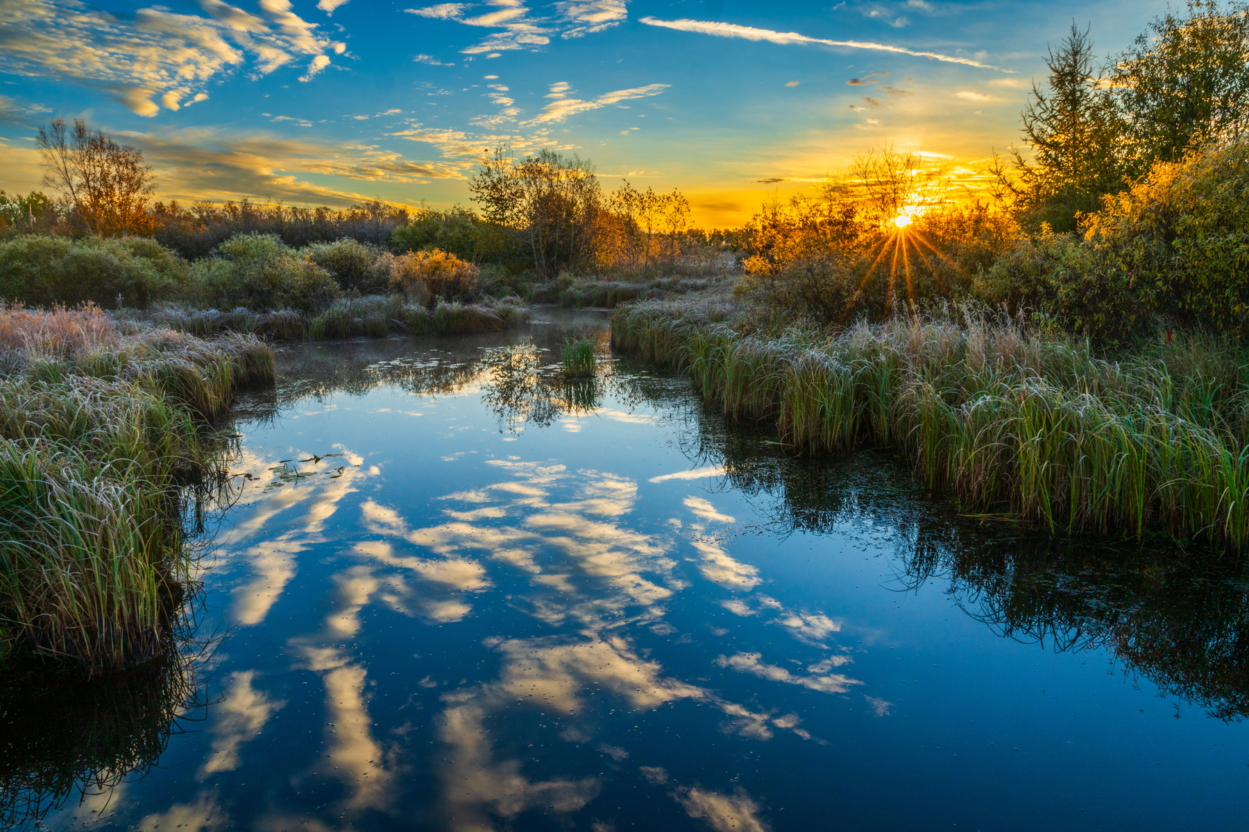 Nature and conservation photography from Jay Brittain
