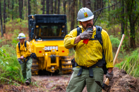 Jay Brittain photography. Forest photography. Photographs of forest management. Forest Management. Photographs of the forest industry. photographs of foresters at work.