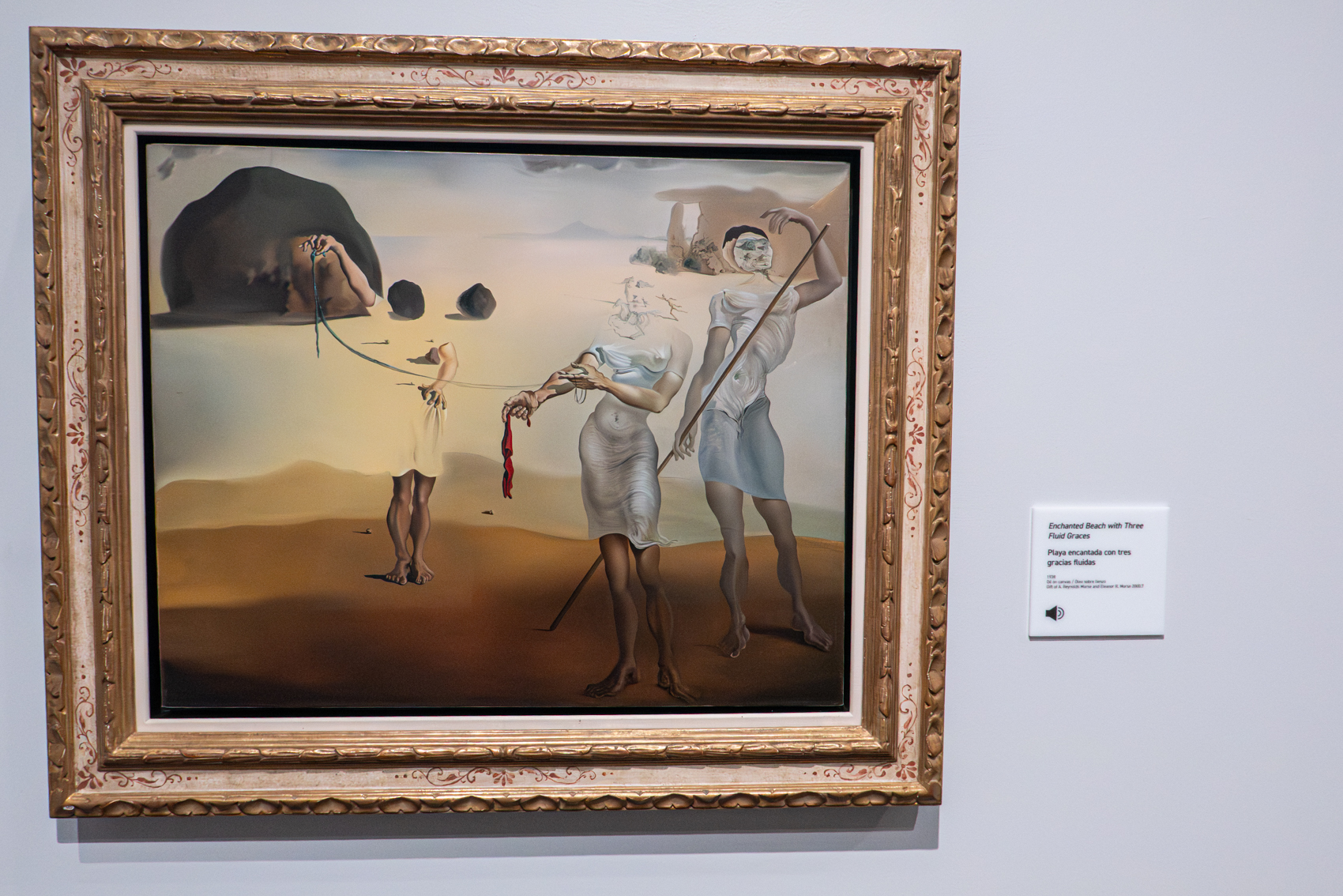 The Dal Museum
St. Petersburg, FL
November 5, 2025


DerekBrad.com