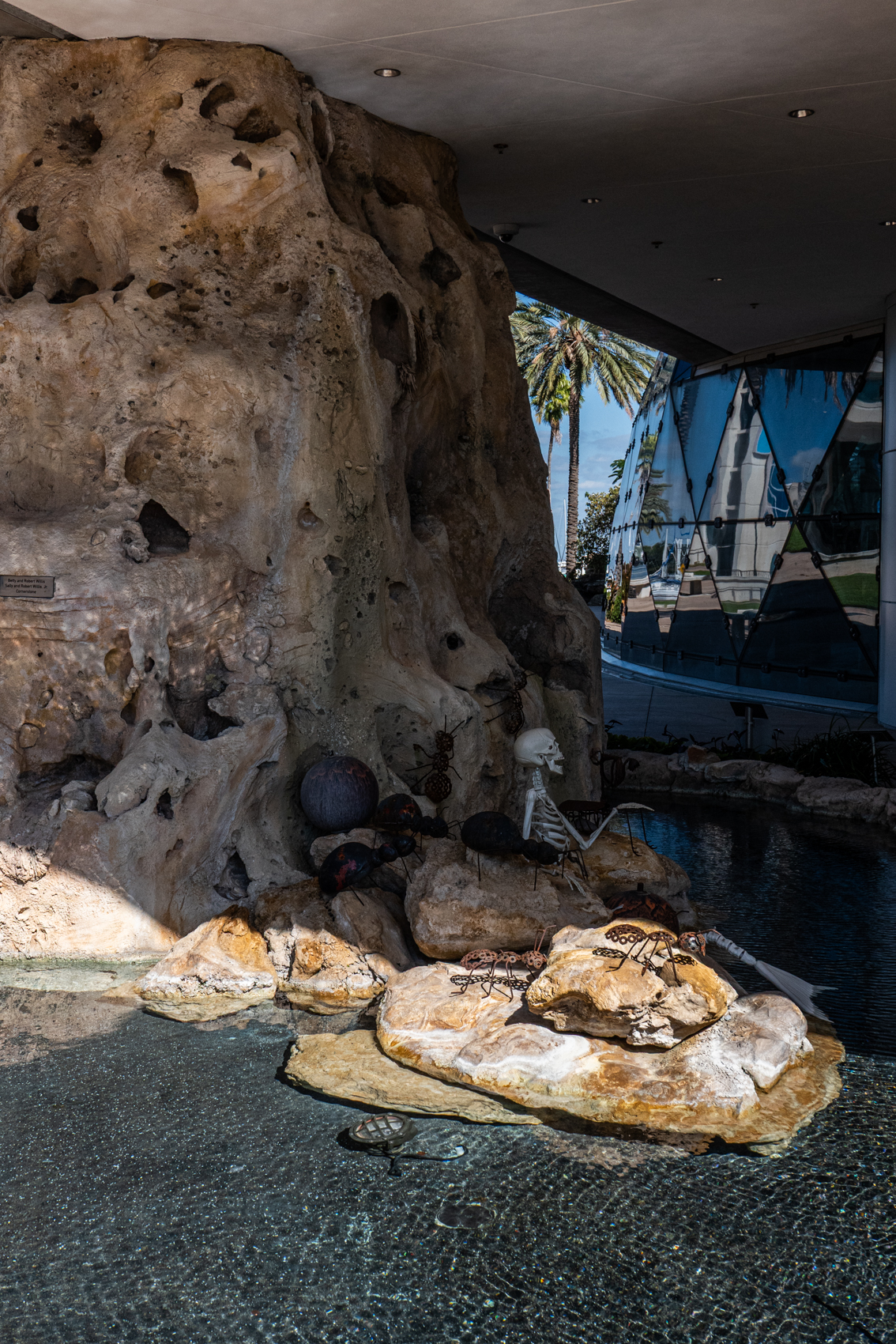 The Dal Museum
St. Petersburg, FL
November 5, 2025


DerekBrad.com