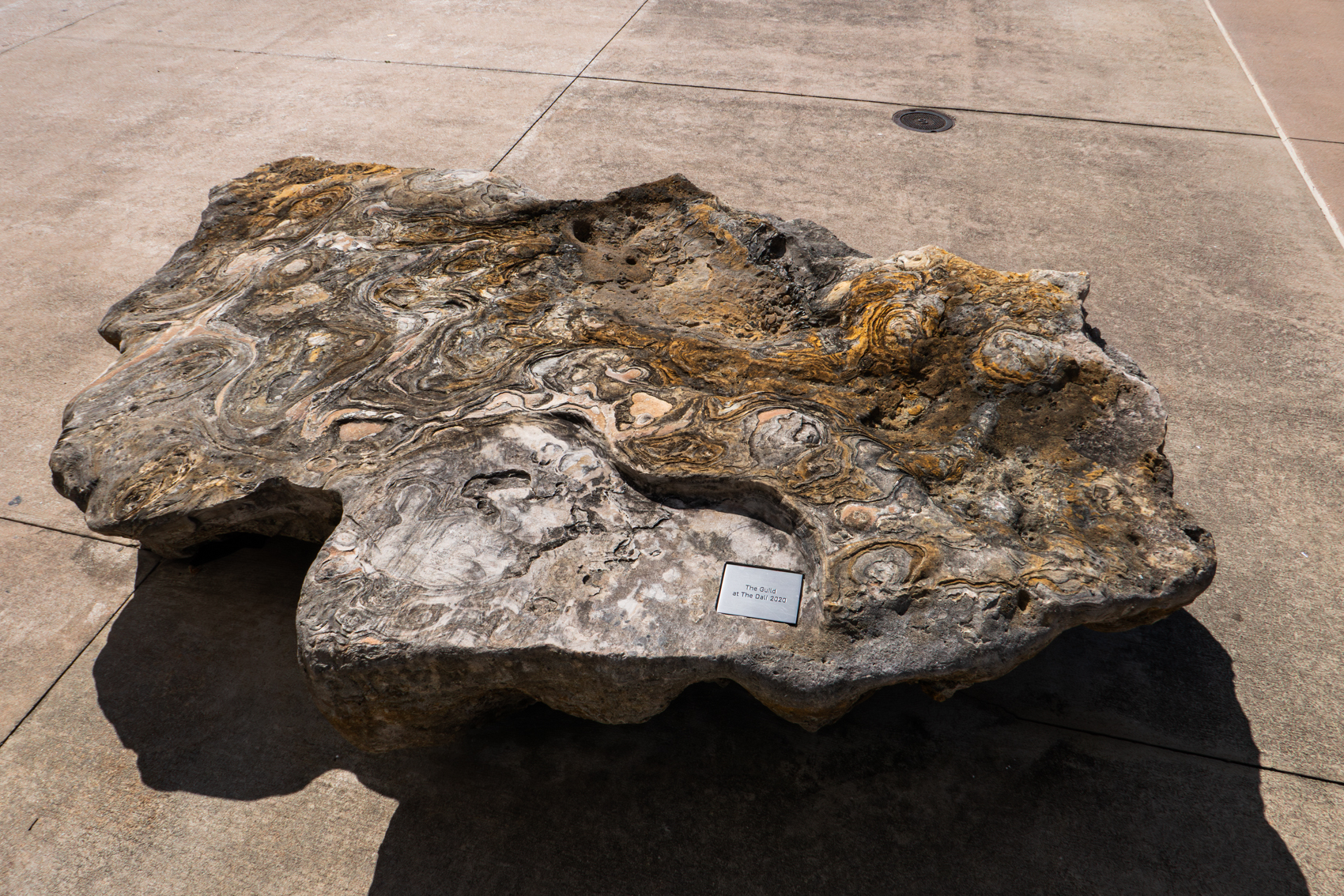 The Dal Museum
St. Petersburg, FL
November 5, 2025


DerekBrad.com