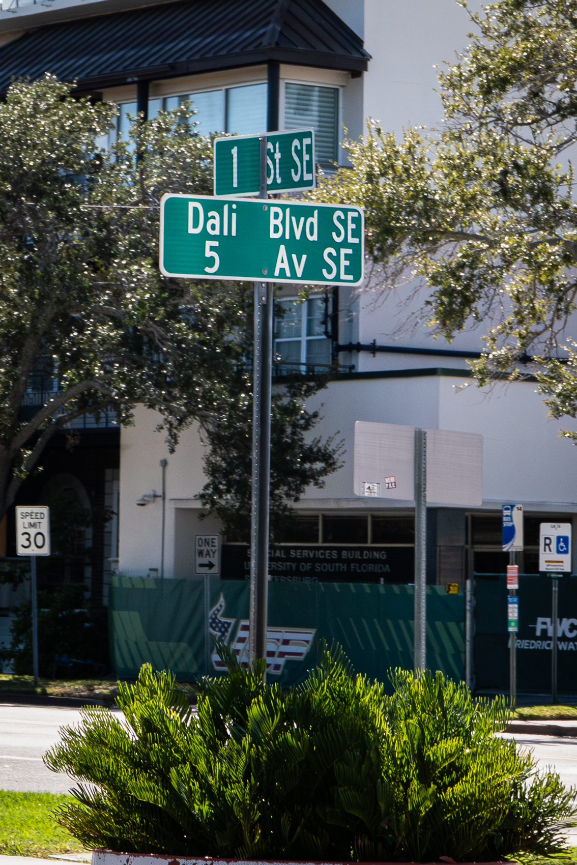 The Dal Museum
St. Petersburg, FL
November 5, 2025


DerekBrad.com