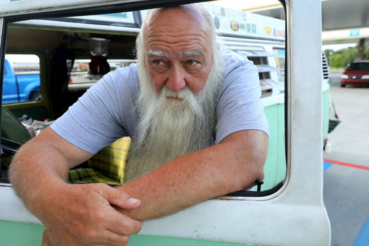 Bear - Adairsville, Georgia