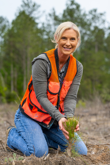 Jay Brittain photography. Forest photography. Photographs of forest management. Forest Management. Photographs of the forest industry. photographs of foresters at work.