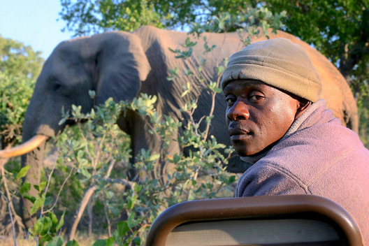 Moses, Safari Tracker - Sabi Sands, South Africa