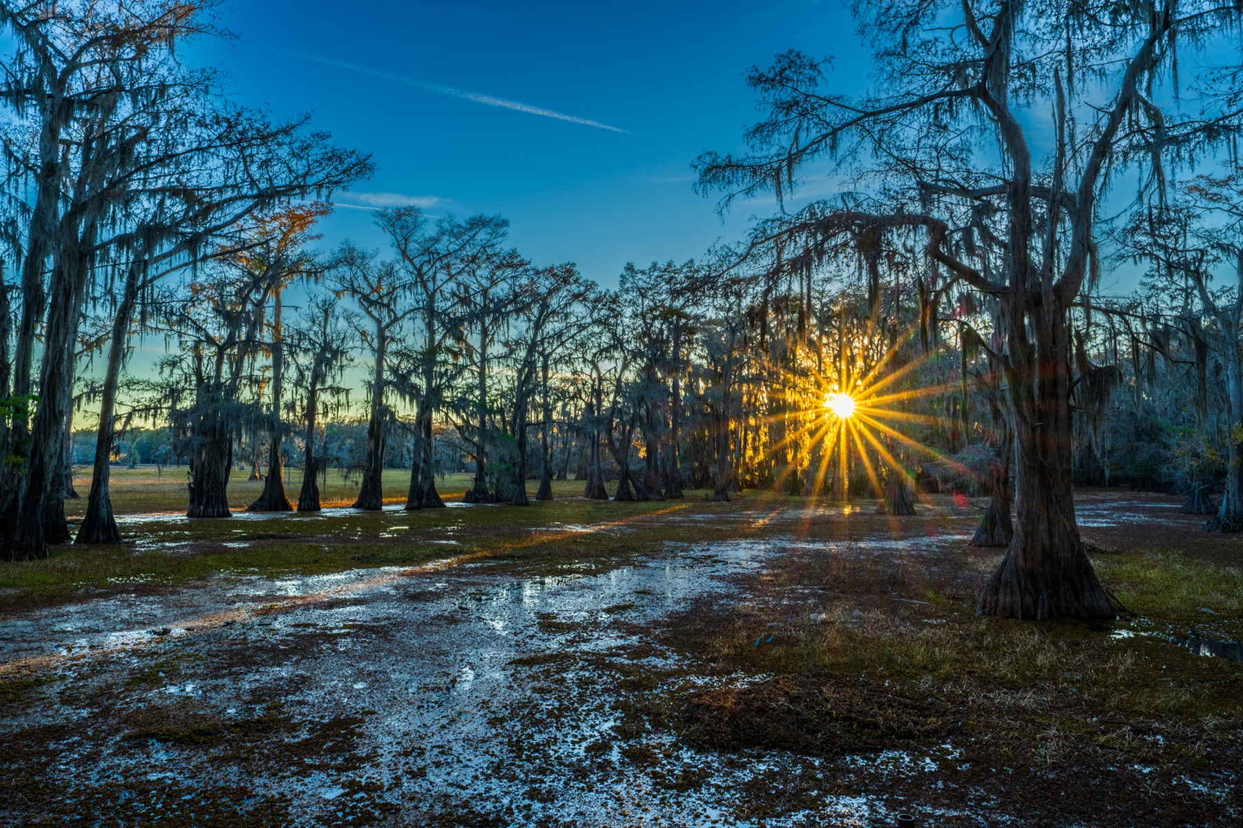 Nature and conservation photography from Jay Brittain
