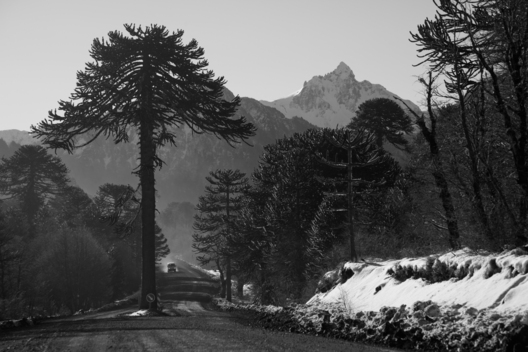 Lakes District, Patagonia, Chilephoto:Adam Clark