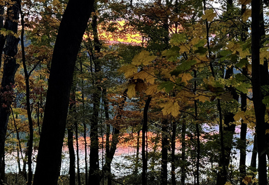 Radnor Lake - Davidson County, Tennessee