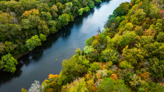 Jay Brittain photography. Forest photography. Photographs of forest management. Forest Management. Photographs of the forest industry. photographs of foresters at work.