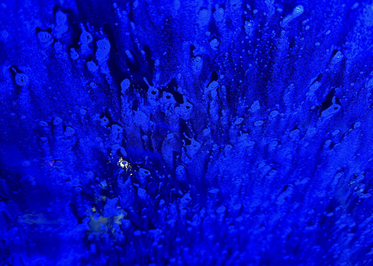 Car Wash Windshield - Franklin, Tennessee