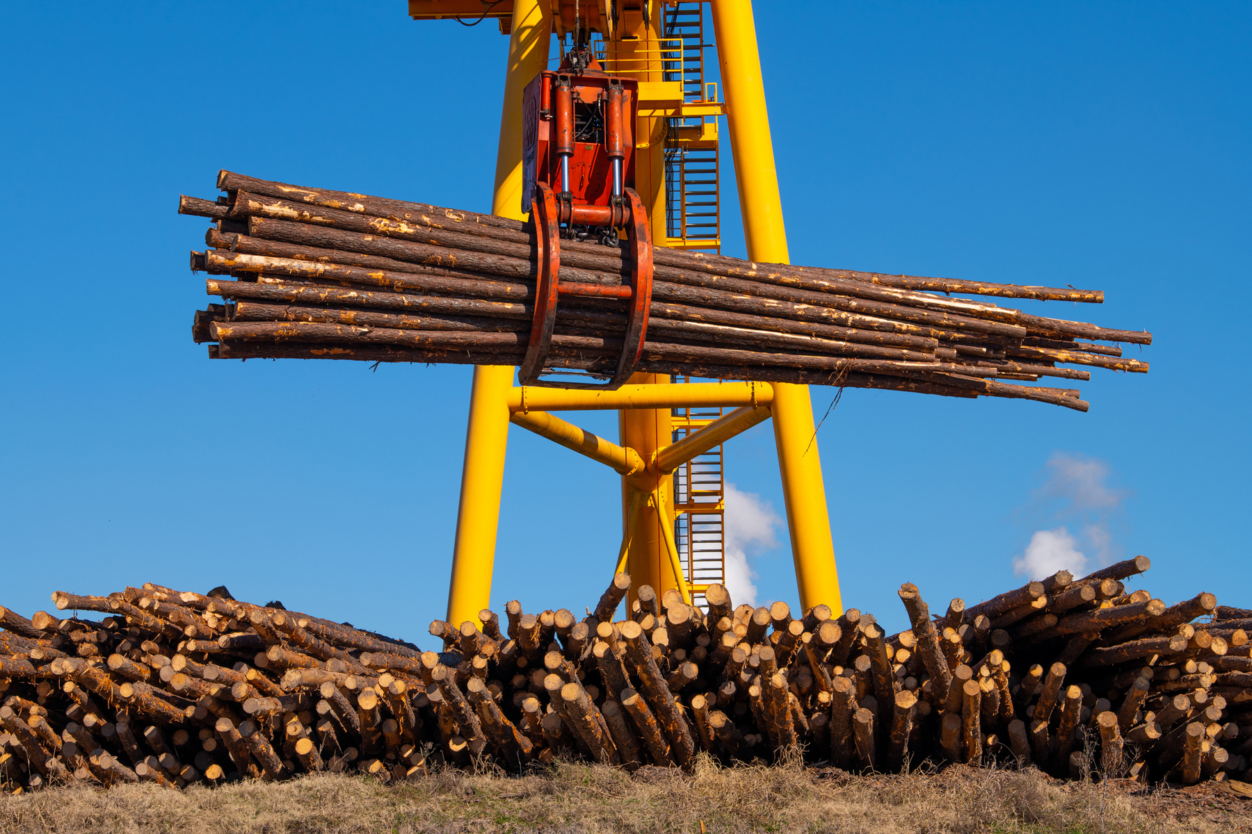 building products, forest products, forest product photographer, Jay Brittain