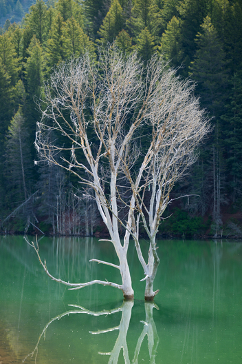 Nature and conservation photography from Jay Brittain