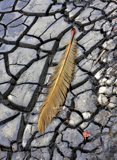 Sabine Pass, Louisiana