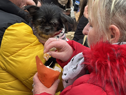 Dresden 20.12.2025, 14:33