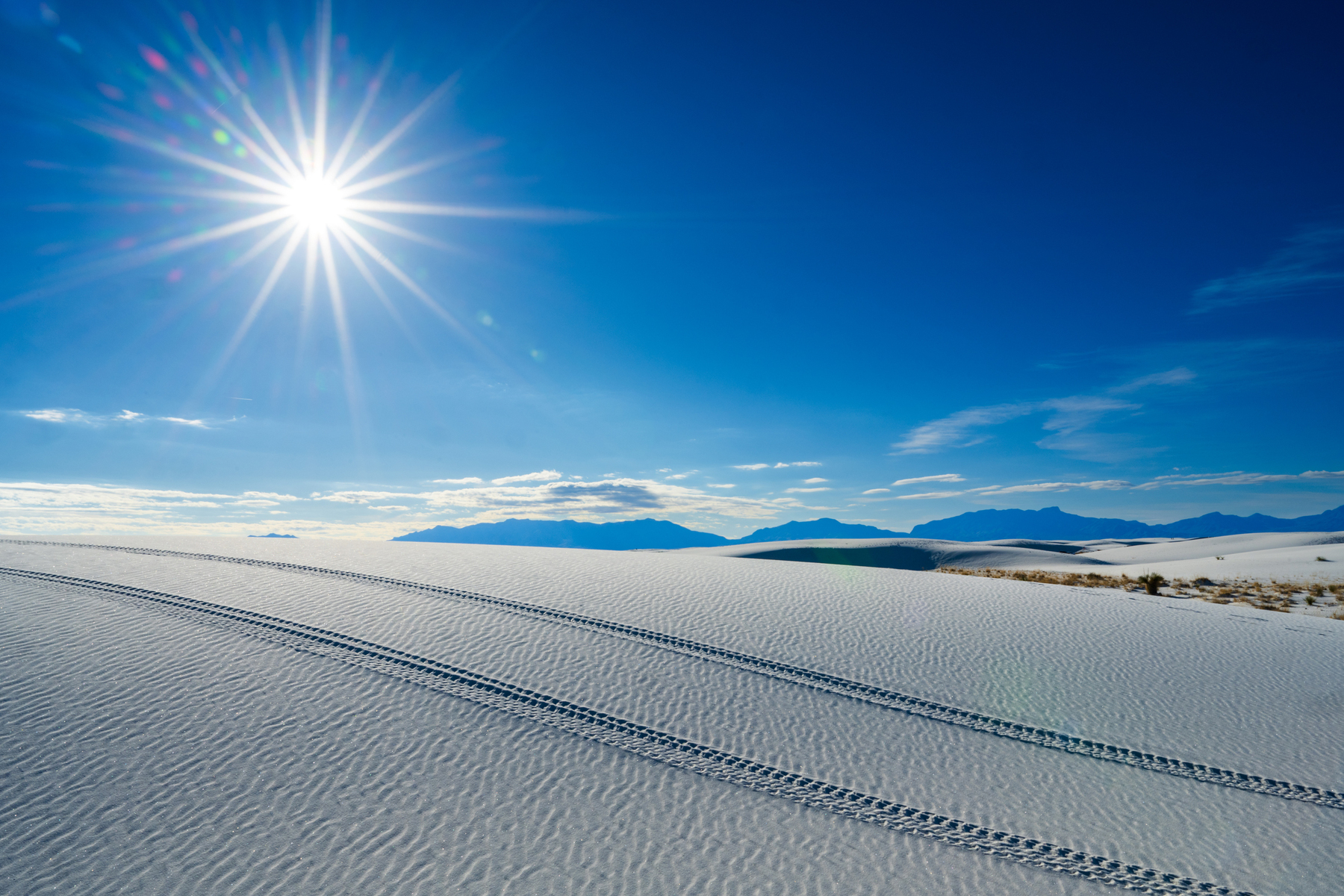 Nature and conservation photography from Jay Brittain