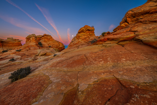 Nature and conservation photography from Jay Brittain
