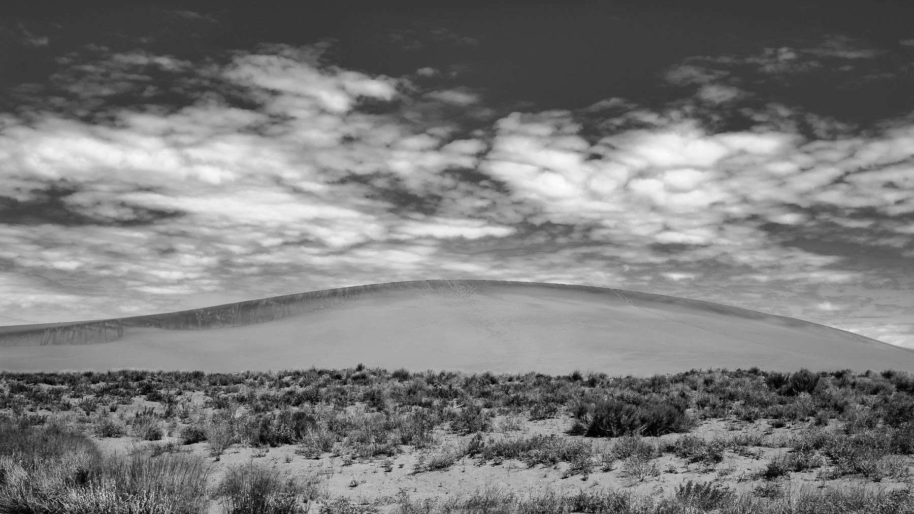 Blake Martin Photography