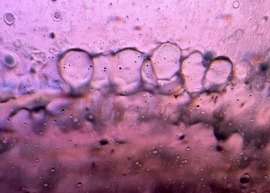 Car Wash Windshield - Brentwood, Tennessee