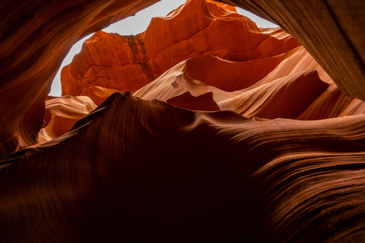 Nature and conservation photography from Jay Brittain