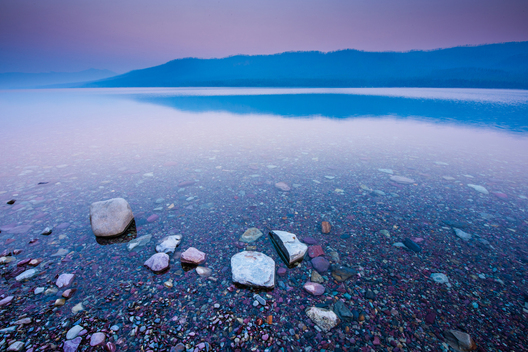 Nature Conservation photography from Glacier National Park by Jay Brittain