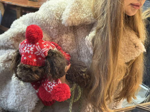 Dresden 18.12.2025, 15:30