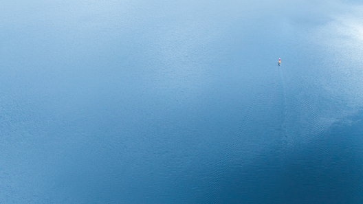Nature and conservation photography from Jay Brittain