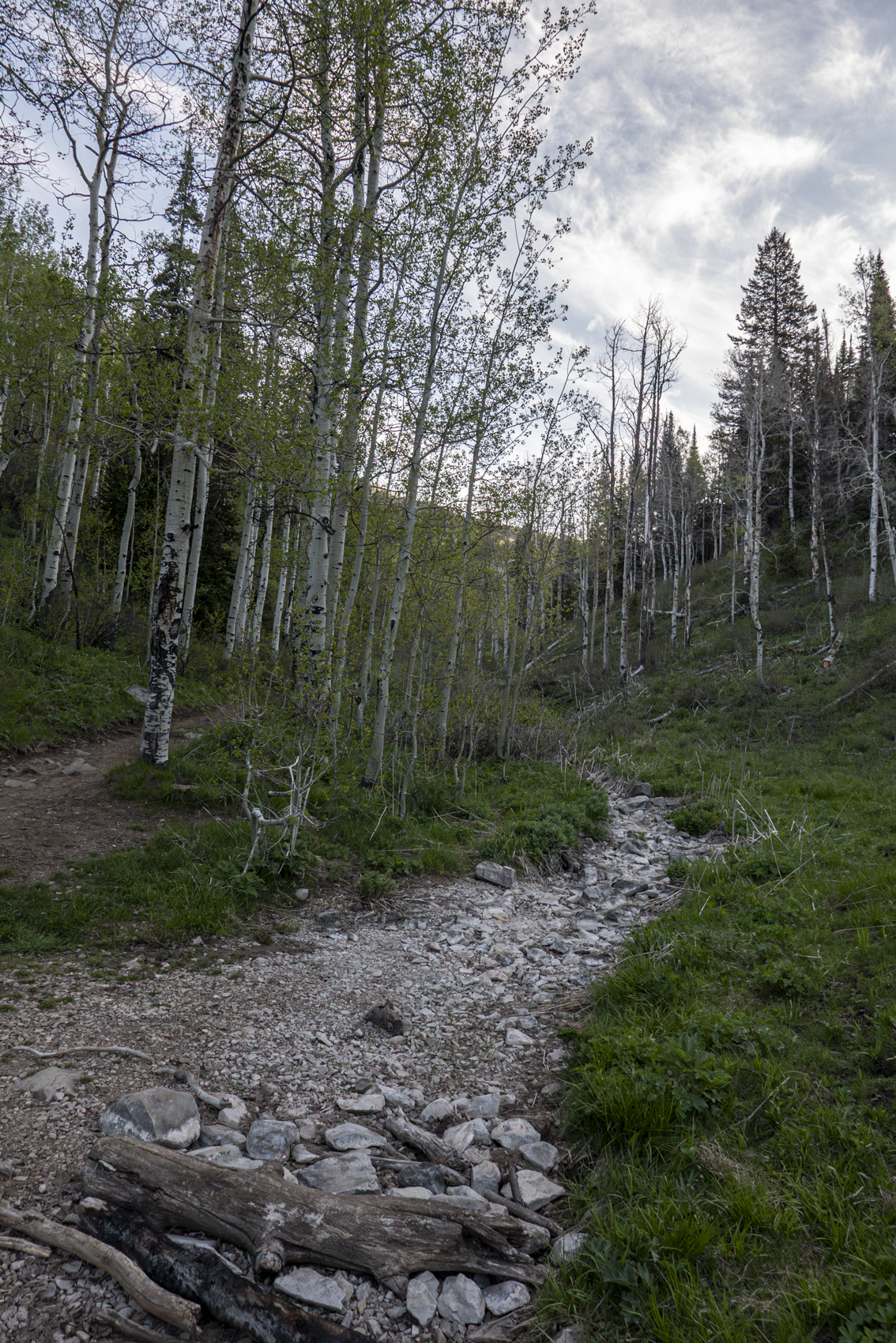 Big Cottonwood Canyon