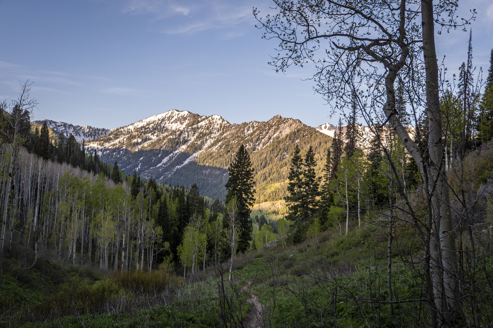 Big Cottonwood Canyon